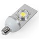 LED Street Light (30 W, E40, cold white, 6000-6500 K)